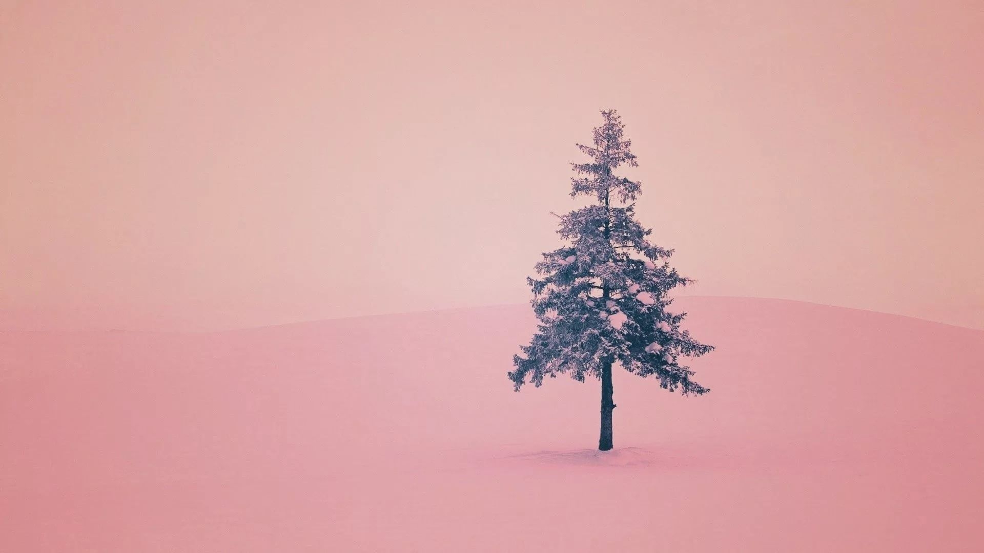 1920x1080 Cute Winter Wallpaper, Desktop