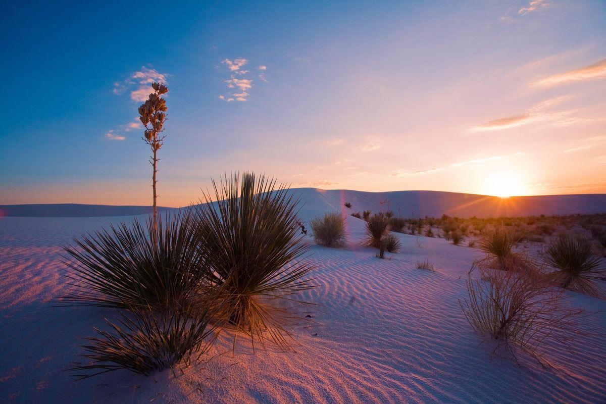 1200x800 White Sands National Monument At Night. White Sands National, Desktop