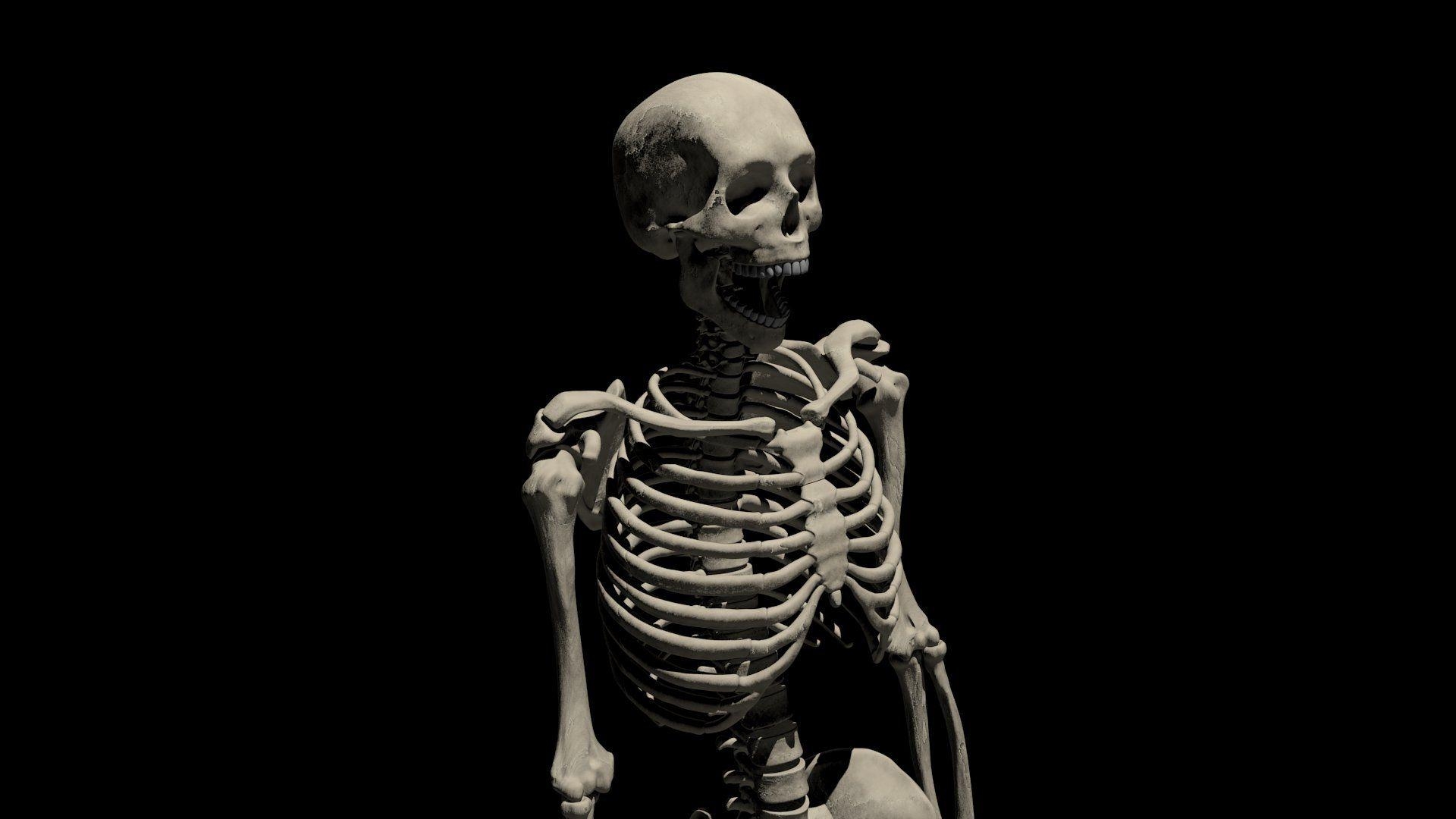 1920x1080 Skeleton Desktop Wallpaper, Desktop