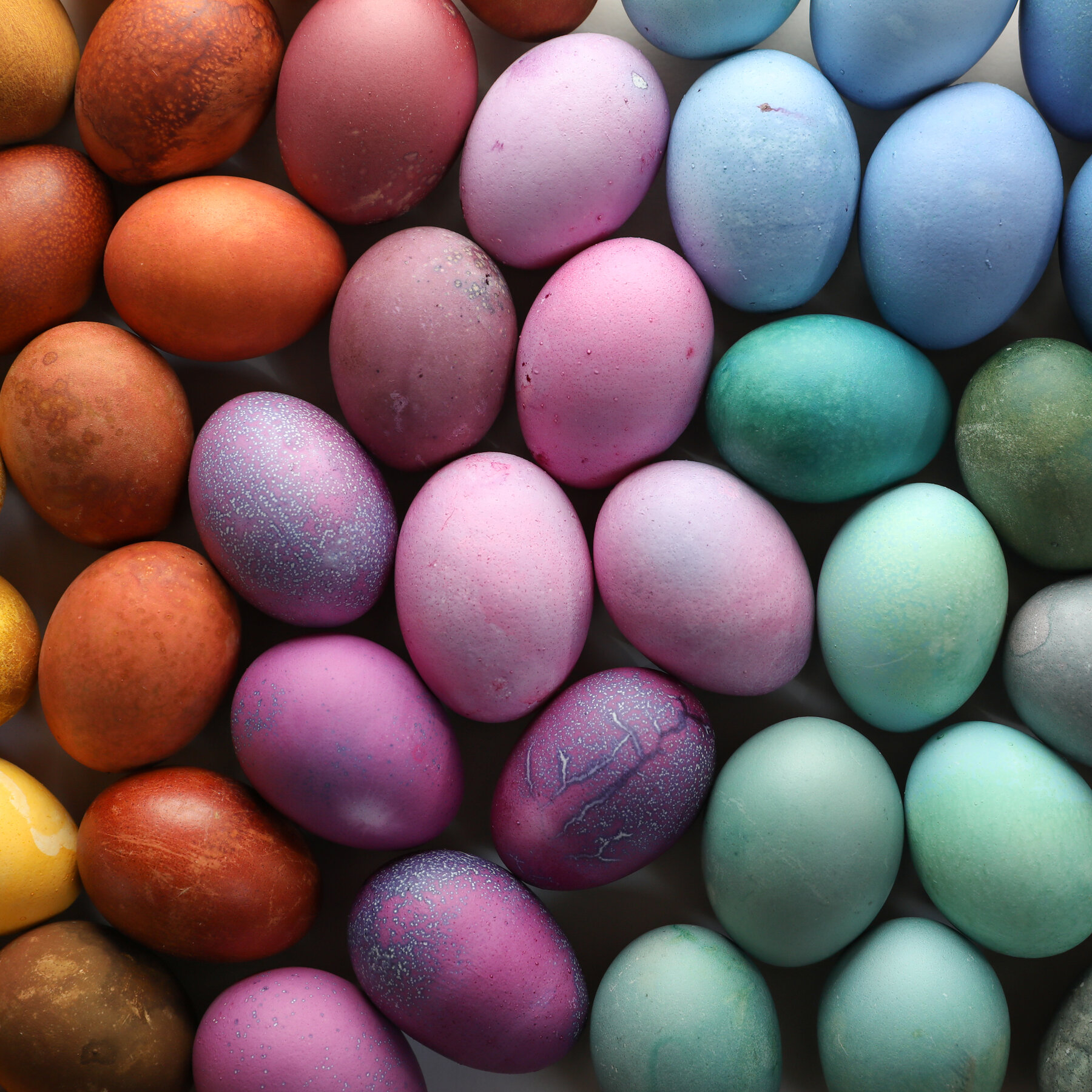 1800x1800 Naturally Dye Your Easter Eggs, Phone