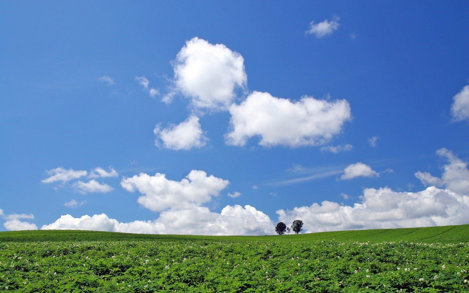 1920x1200 Landscape, Hokkaido, Japan. Android wallpaper for free, Desktop