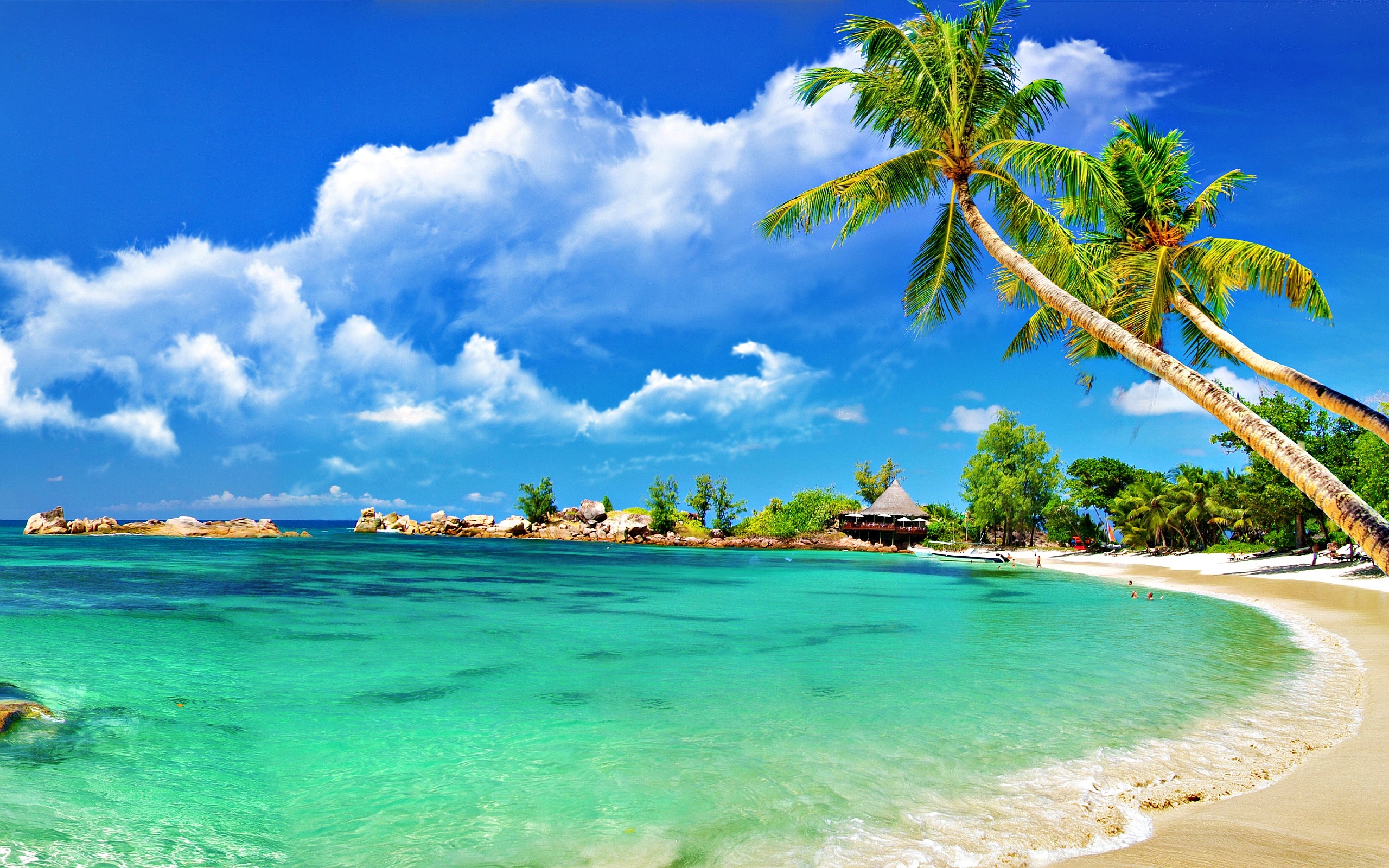 2560x1600 Beach Wallpaper Picture for Computer, Desktop