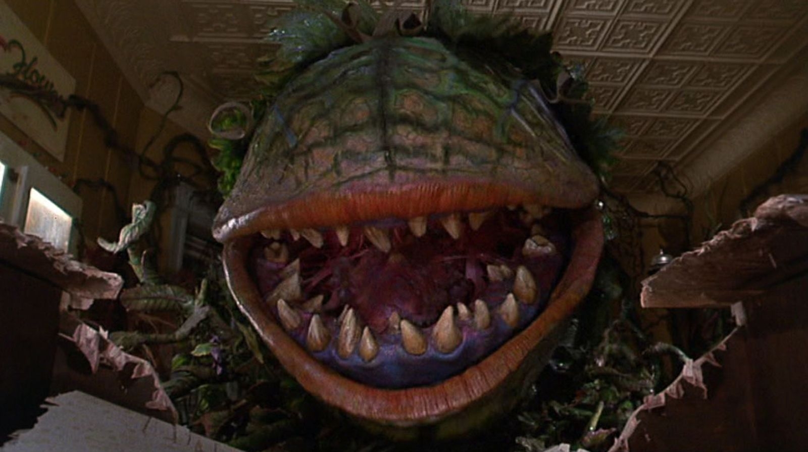 1600x900 Little Shop Of Horrors wallpaper, Movie, HQ Little Shop Of, Desktop