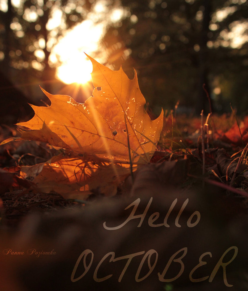 830x970 Hello October Quotes. QuotesGram, Phone