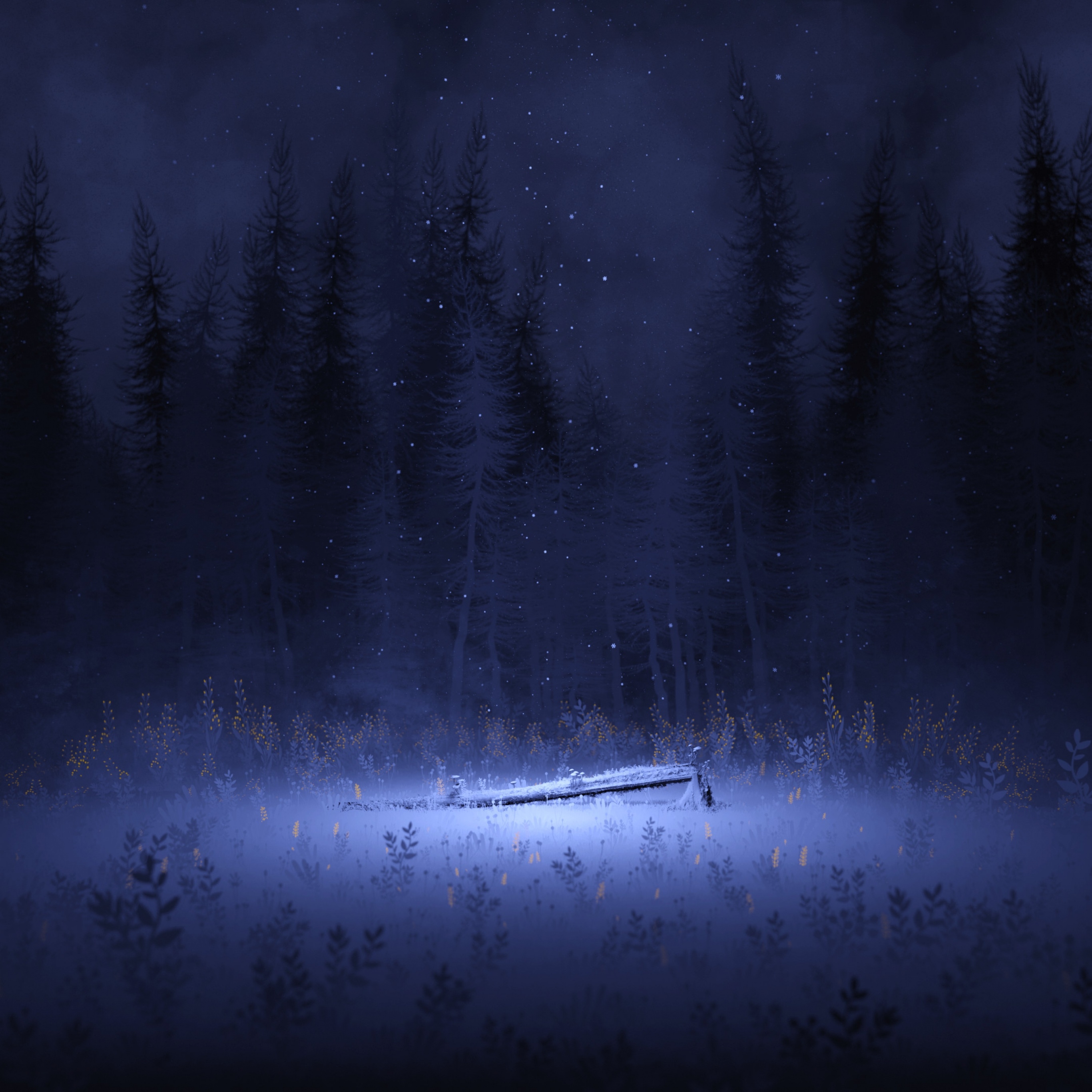 2740x2740 Light Wallpaper 4K, Night, Forest, Winter, Foggy, Dark, Nature, Phone