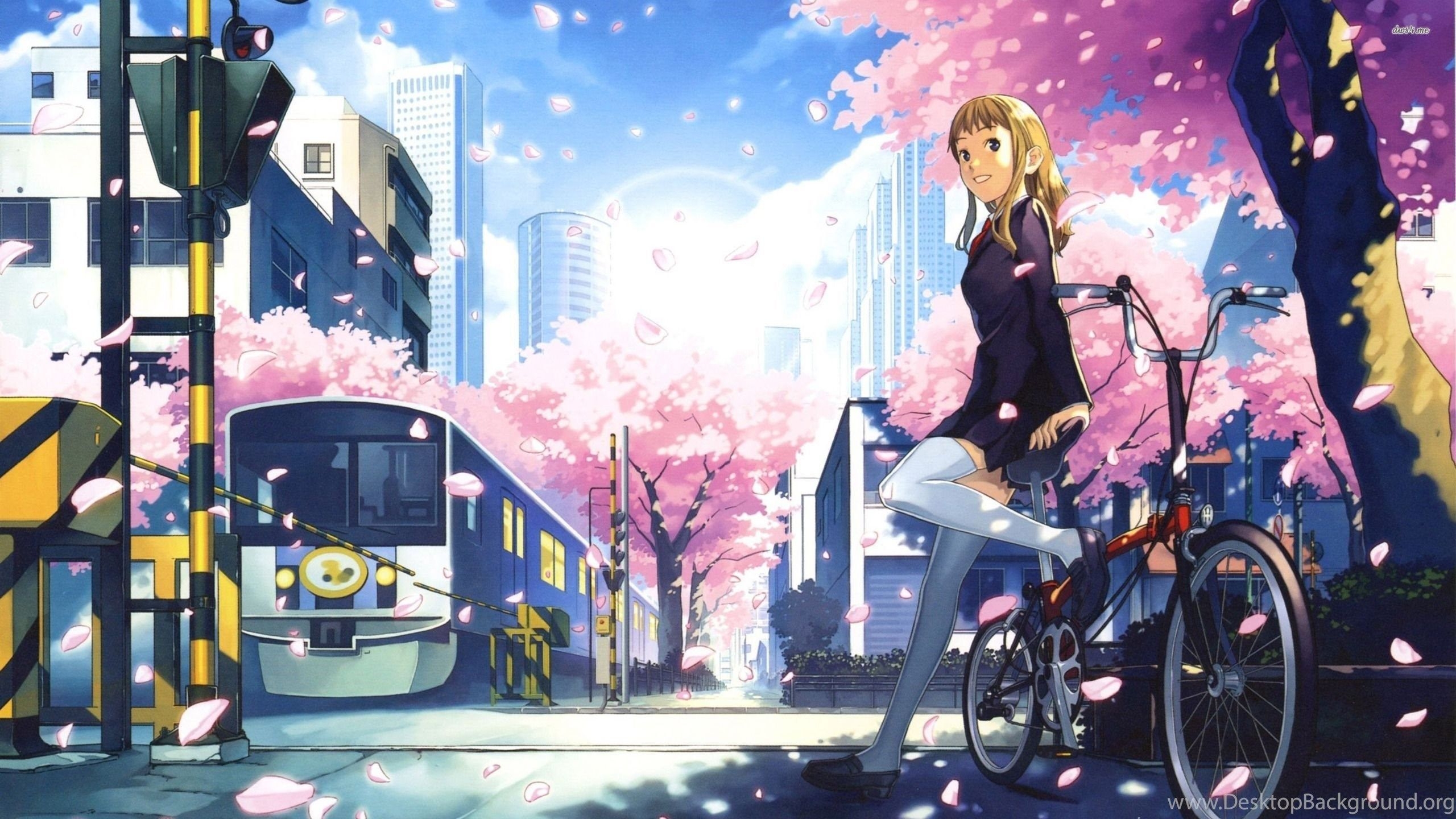 2560x1440 Schoolgirl On Her Bike Wallpaper Anime.desktopbackground.org, Desktop