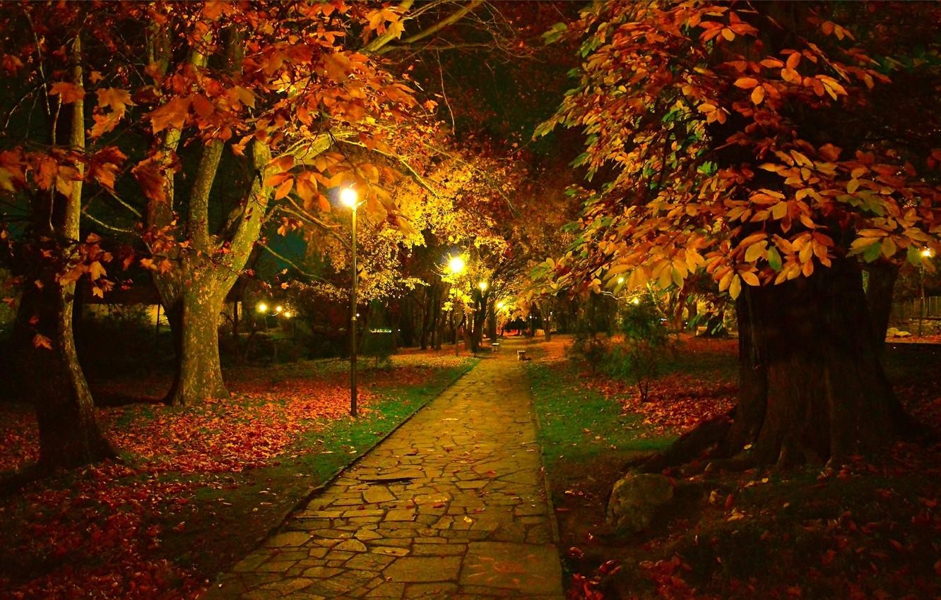 1340x850 Wallpaper Night, Autumn, Trees, Lights, Park, Fall, Foliage, Track, Desktop