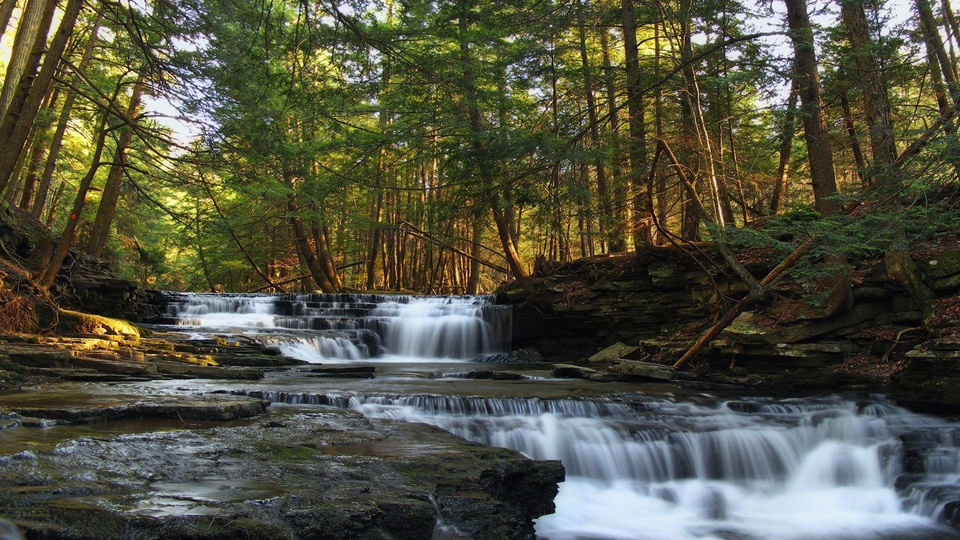 1920x1080 Pennsylvania Tag wallpaper: Forest Logan Usa Nature Run Falls, Desktop