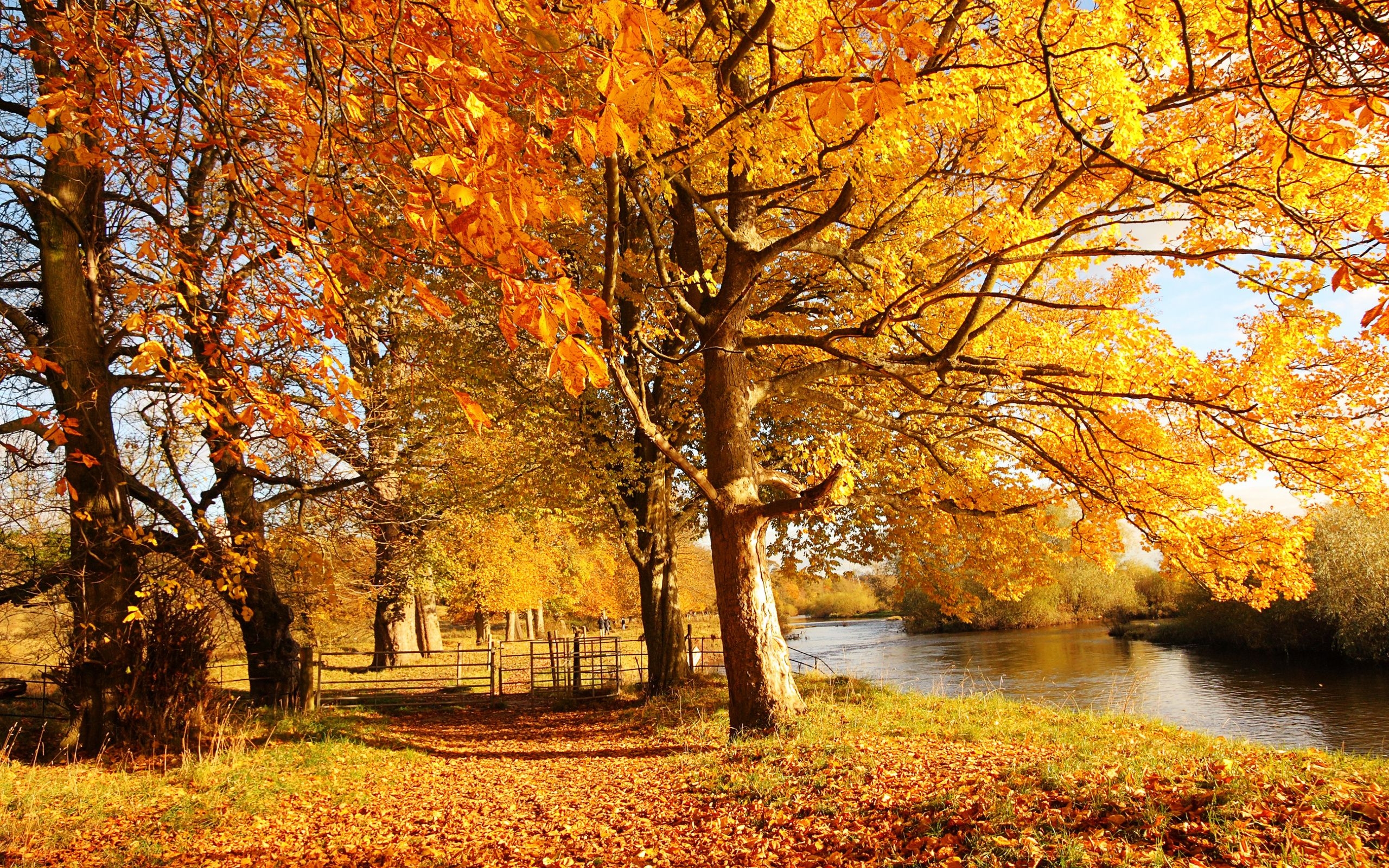 2560x1600 Scotland Autumn Background. Autumn Wallpaper, Best Autumn Wallpaper and Lonely Autumn HD Wallpaper, Desktop