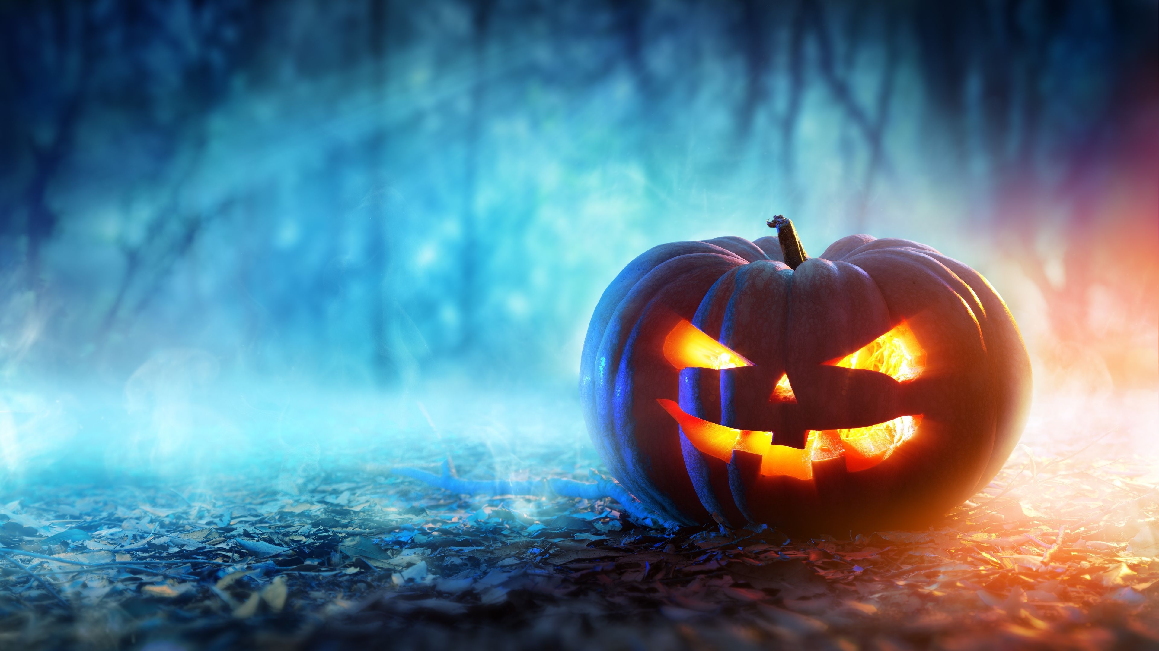 3840x2160 Halloween 4k Pumpkin Wallpaper, Holidays Wallpaper, Hd Wallpaper, Halloween Wallpaper, C. Halloween Coloring Picture, Halloween Pumpkins, Halloween Wallpaper, Desktop