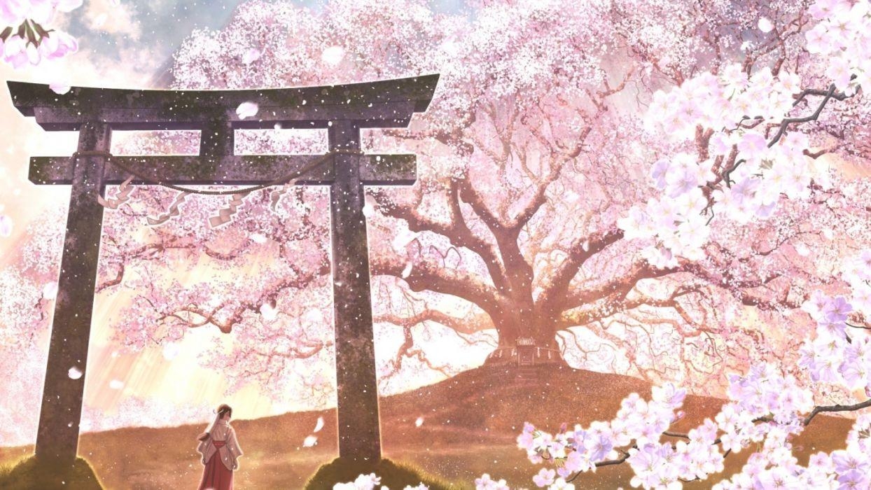 1250x700 Sakura Blossom Anime Landscape Japanese Clothes wallpaper, Desktop