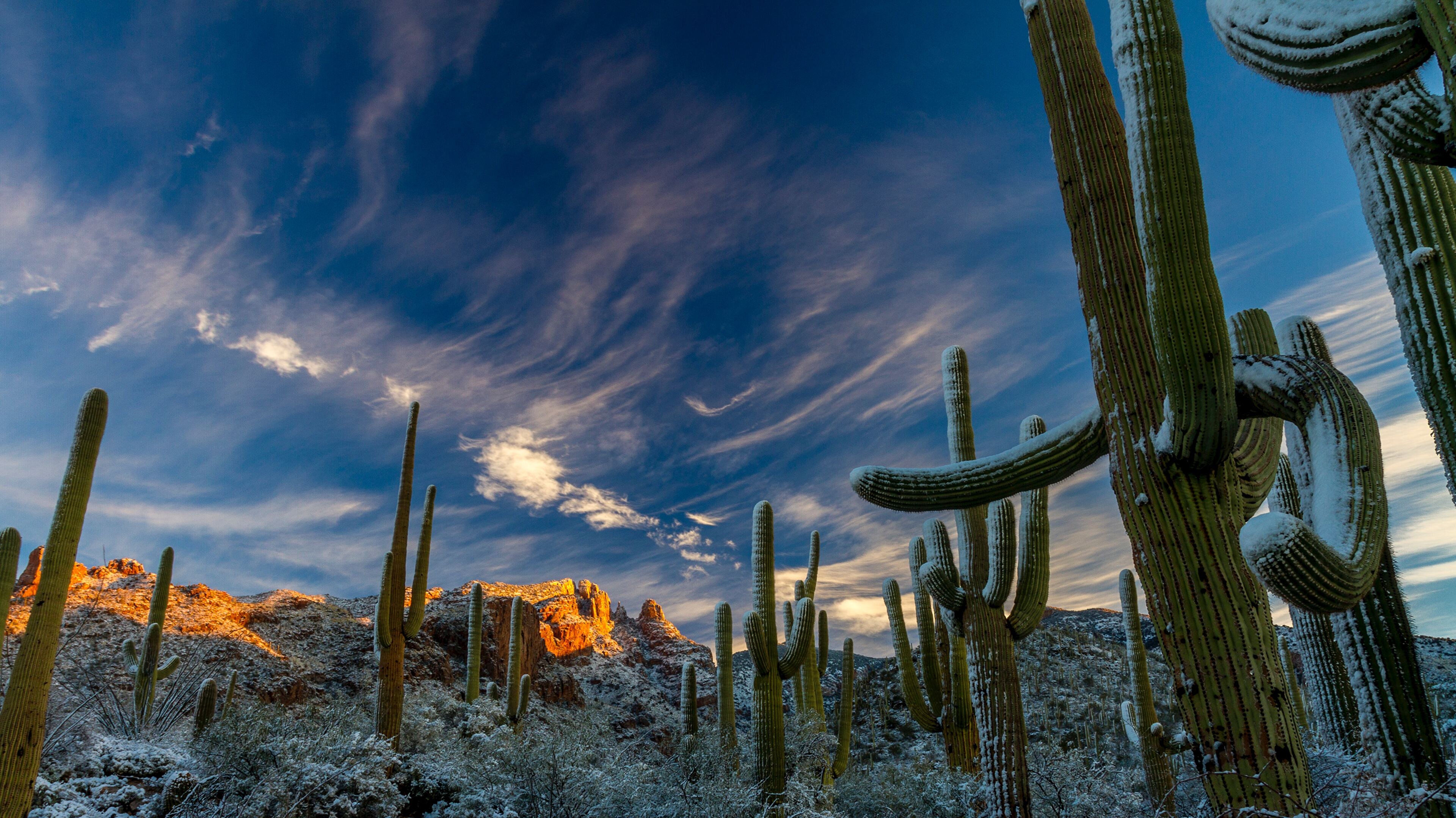 3840x2160 Sonoran Desert 4K wallpaper, Desktop
