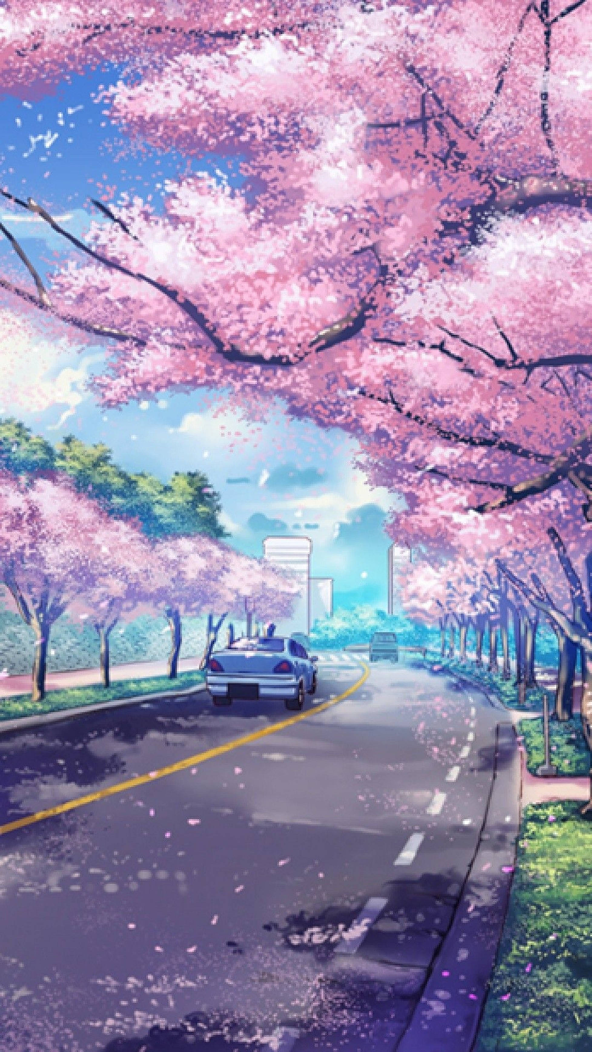 1960x3480 Download Anime Cherry Blossoms iPhone Wallpaper, Phone