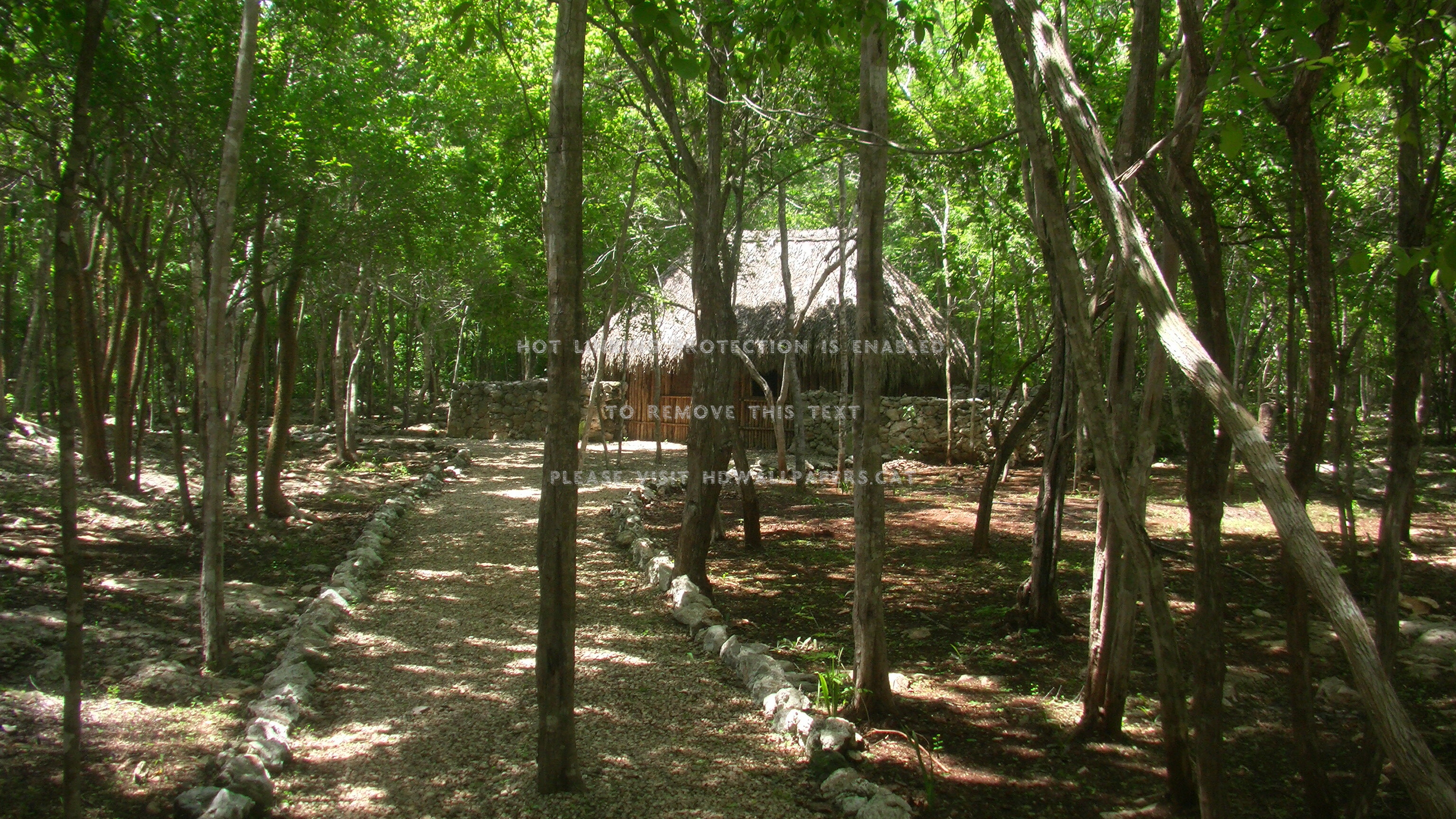 3080x1730 ek balam yucatan peninsula forest nature, Desktop