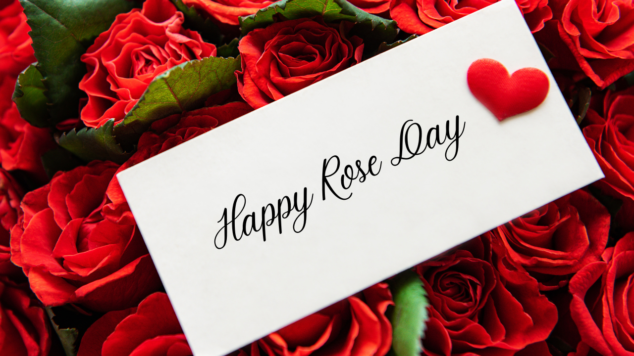 1280x720 Happy Rose Day Wishes: Rose Day 2024, Desktop