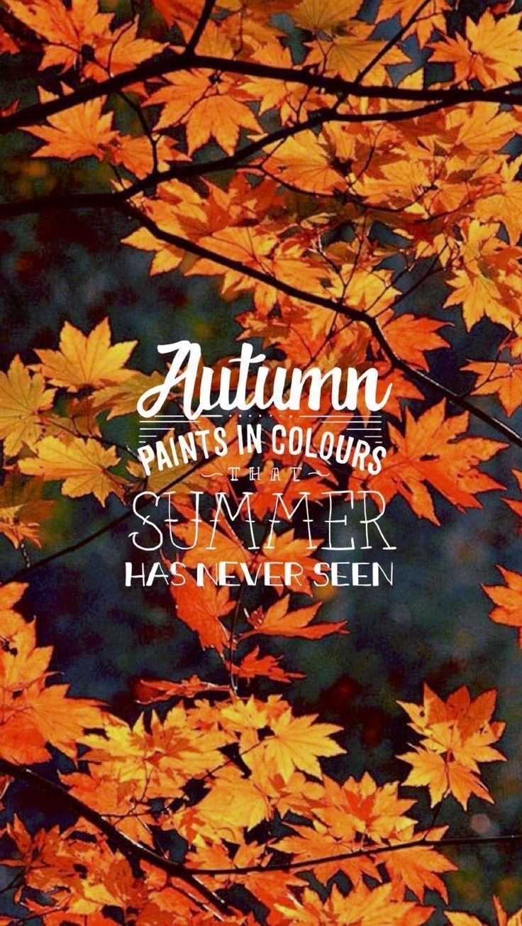 740x1310 Autumn pains in colors #fallwallpaper Autumn and fall cell phone wallpaper #autumn #autumnvibes. iPhone wallpaper fall, Fall wallpaper, Cellphone wallpaper, Phone