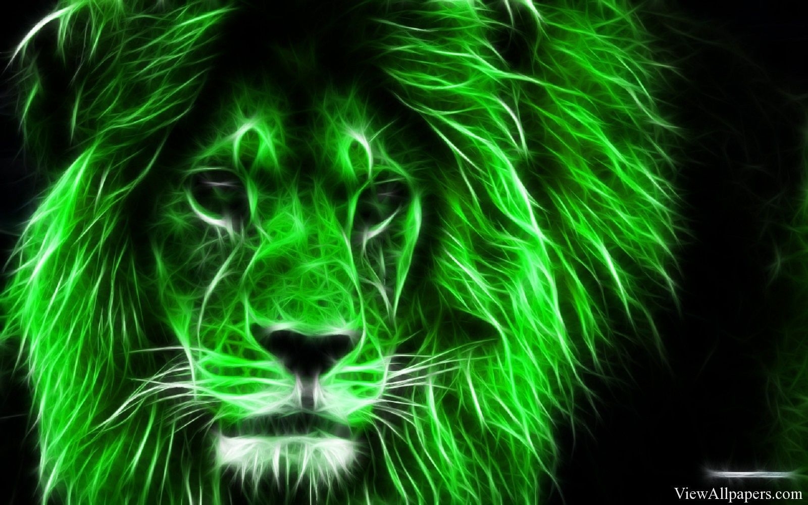 1600x1000 Lion wallpaper, Lion HD wallpaper.com, Desktop