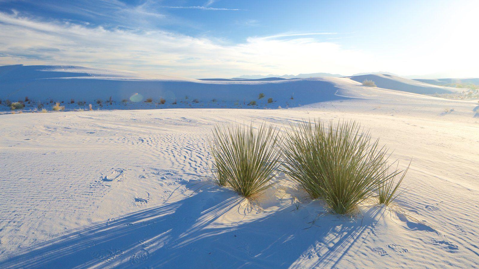 1600x900 Beach Picture: View Image of New Mexico, Desktop