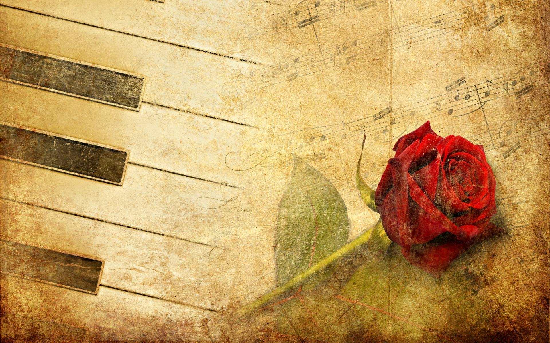 1920x1200 Music: Astonishing Rose Piano Wallpaper, Desktop