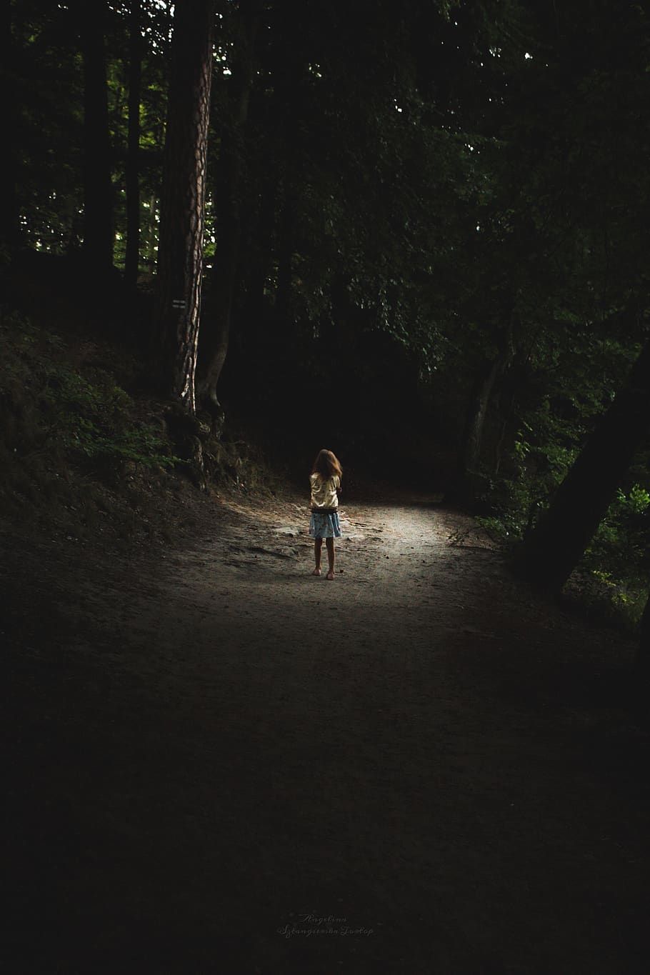 910x1370 HD wallpaper: forest, child, alone, dark, gloomy, scary, path, Phone