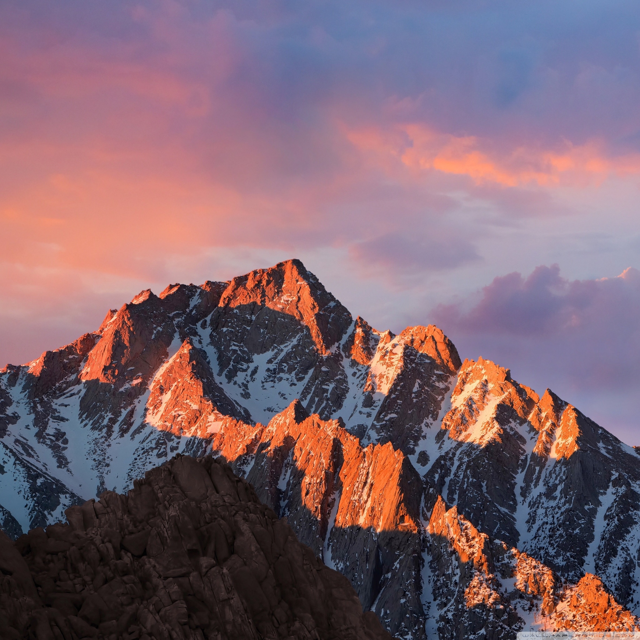 2050x2050 macOS Sierra ❤ 4K HD Desktop Wallpaper for 4K Ultra HD TV • Wide, Phone