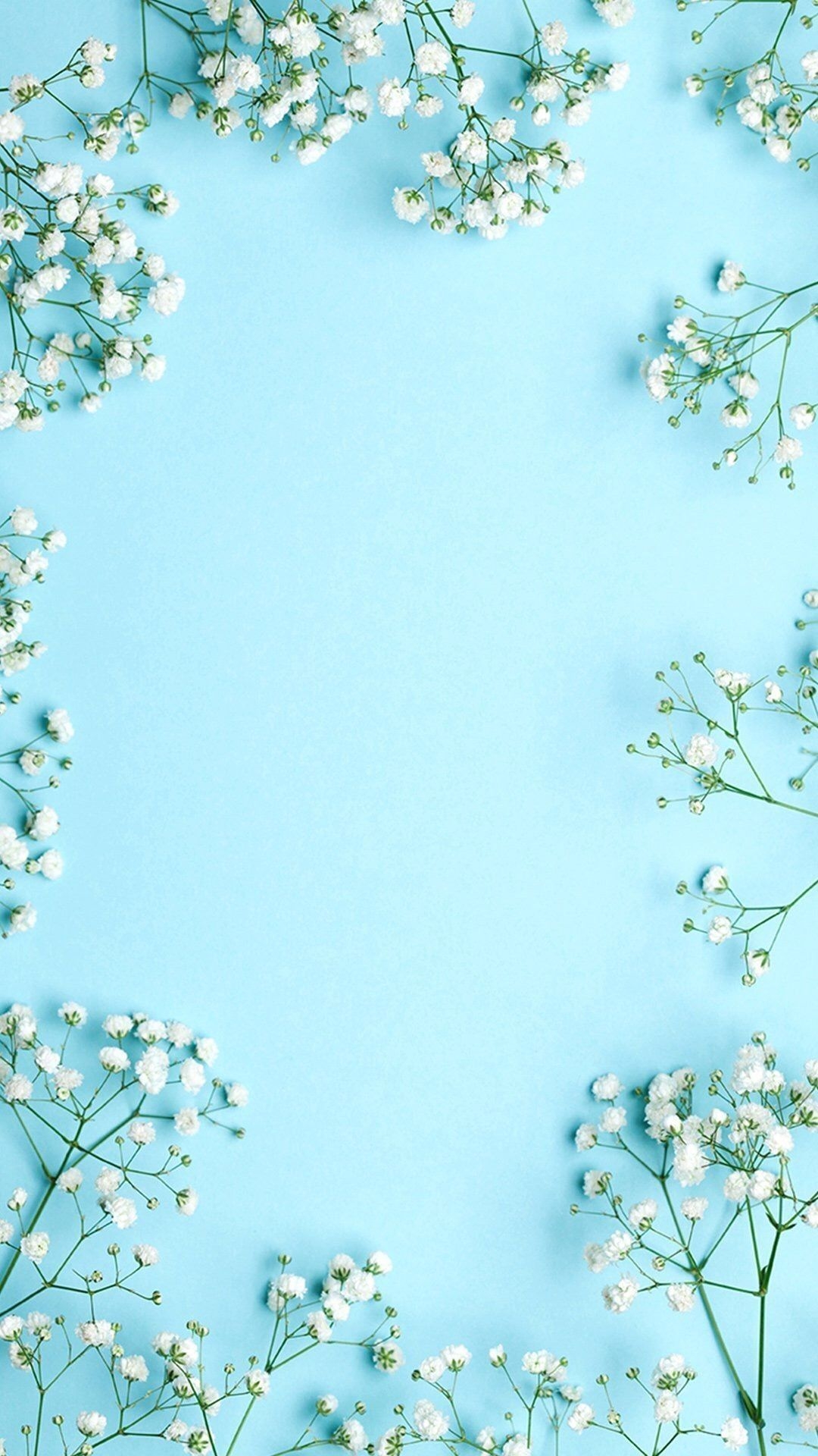 1080x1920 Cute Teal And White Android Background. Flowers photography wallpaper, Spring wallpaper, Photography wallpaper, Phone