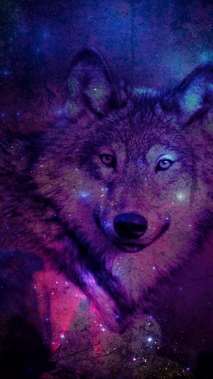 720x1280 Wolf Wallpaper 4K for Android, Phone