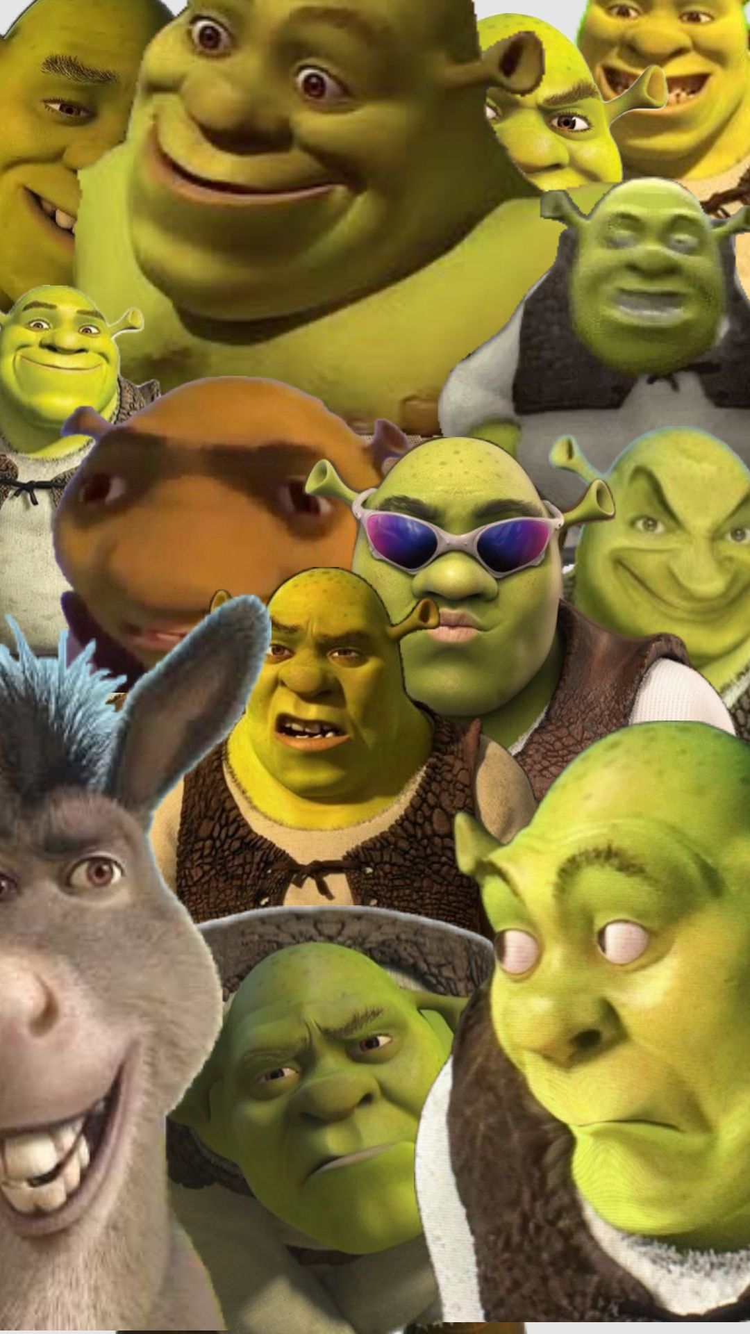 1080x1920 shrek #beauty #vibes #art #shrekcore, Phone