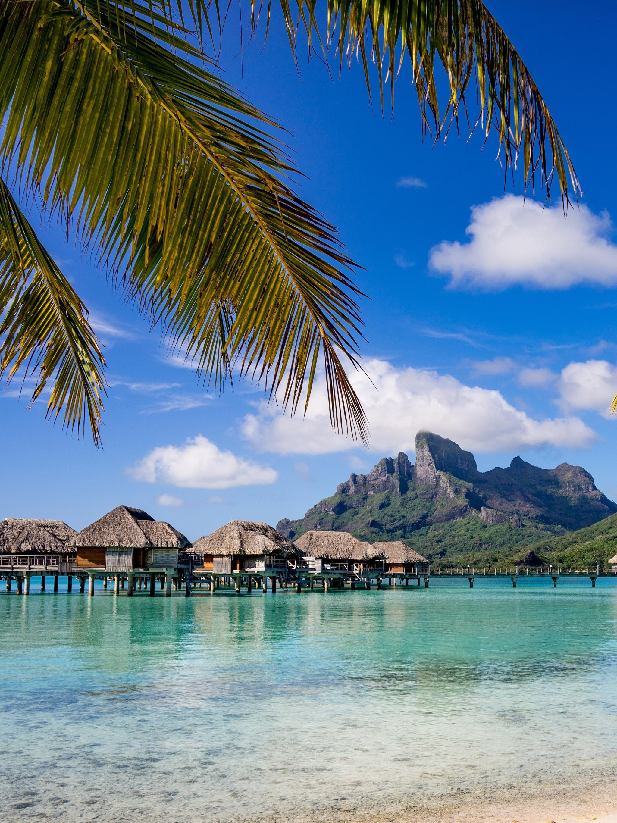 2050x2740 Wallpaper Bora Bora French Polynesia Bungalow Sea Nature, Phone