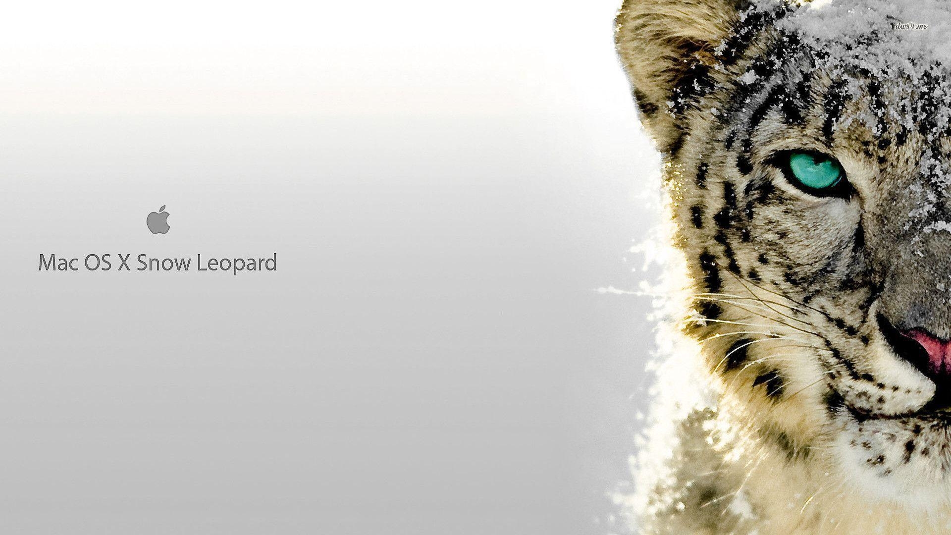 1920x1080 Snow leopard Mac OS X wallpaper wallpaper - #, Desktop