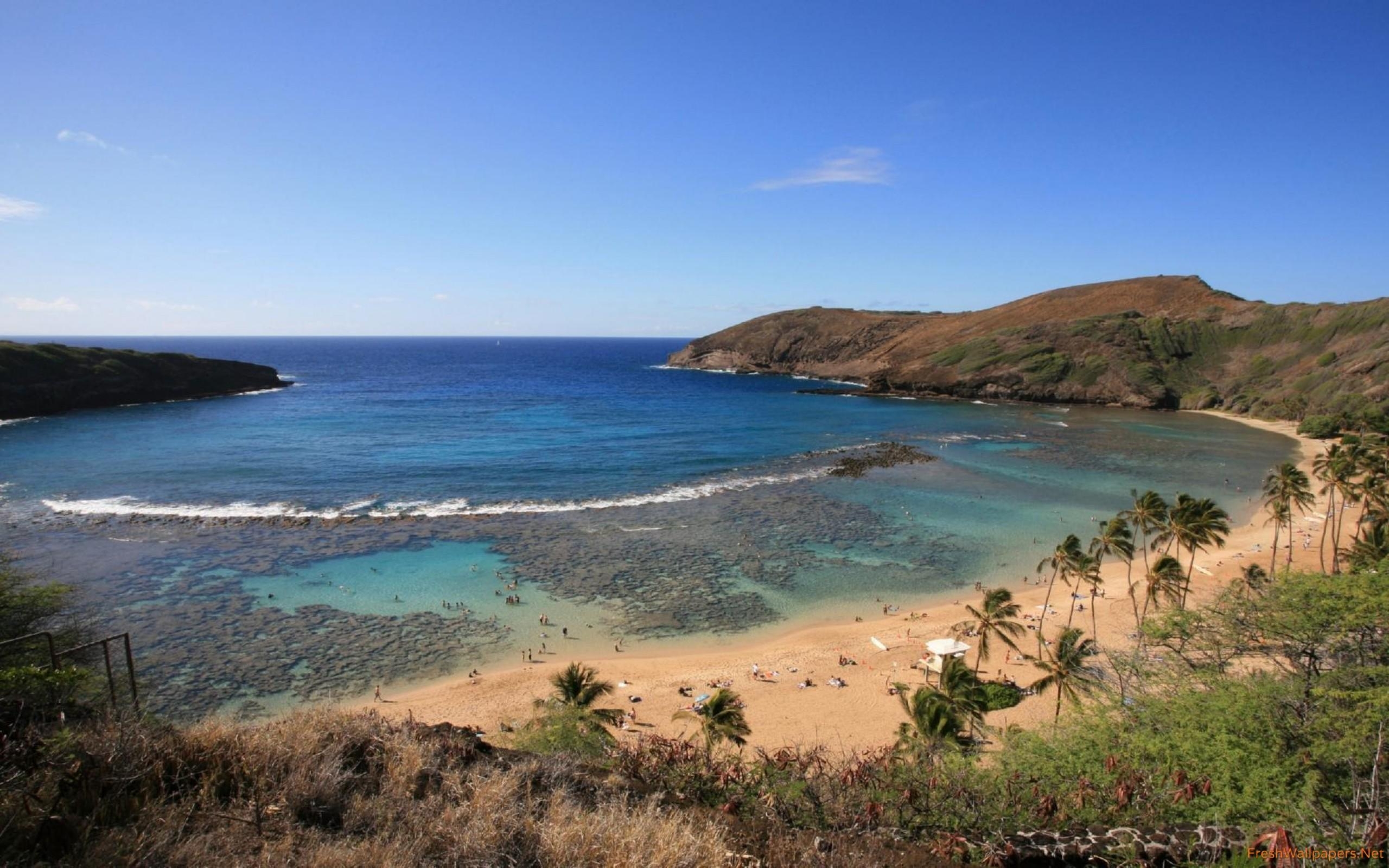 2560x1600 Sandy beach in the bay wallpaper, Desktop