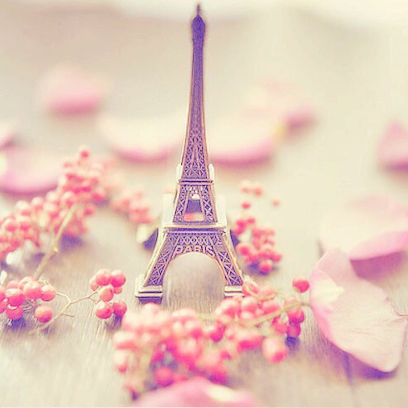 1600x1600 Cute Paris Wallpaper #wallpaper.in.com, Phone