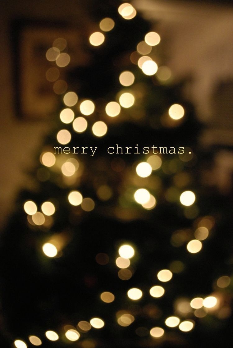 750x1120 Christmas Tree Aesthetic Wallpaper Free Christmas Tree Aesthetic Background, Phone