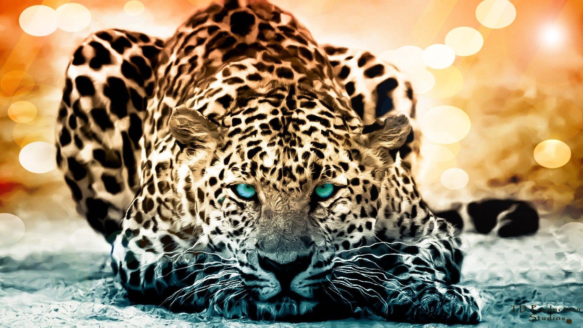 1920x1080 Jaguar HD Wallpaper, Desktop