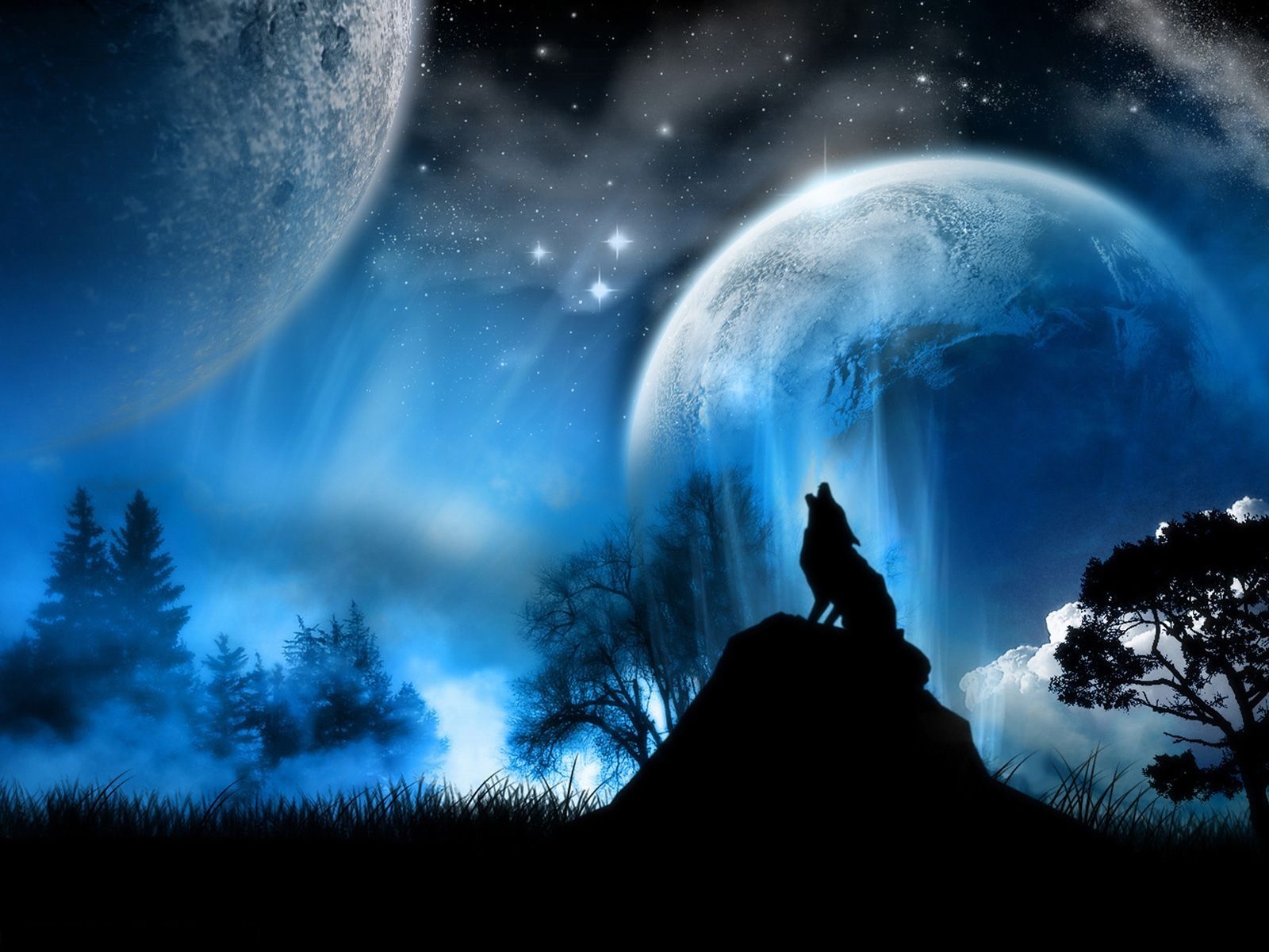 1600x1200 Cute wolf picture wallpaper, Desktop