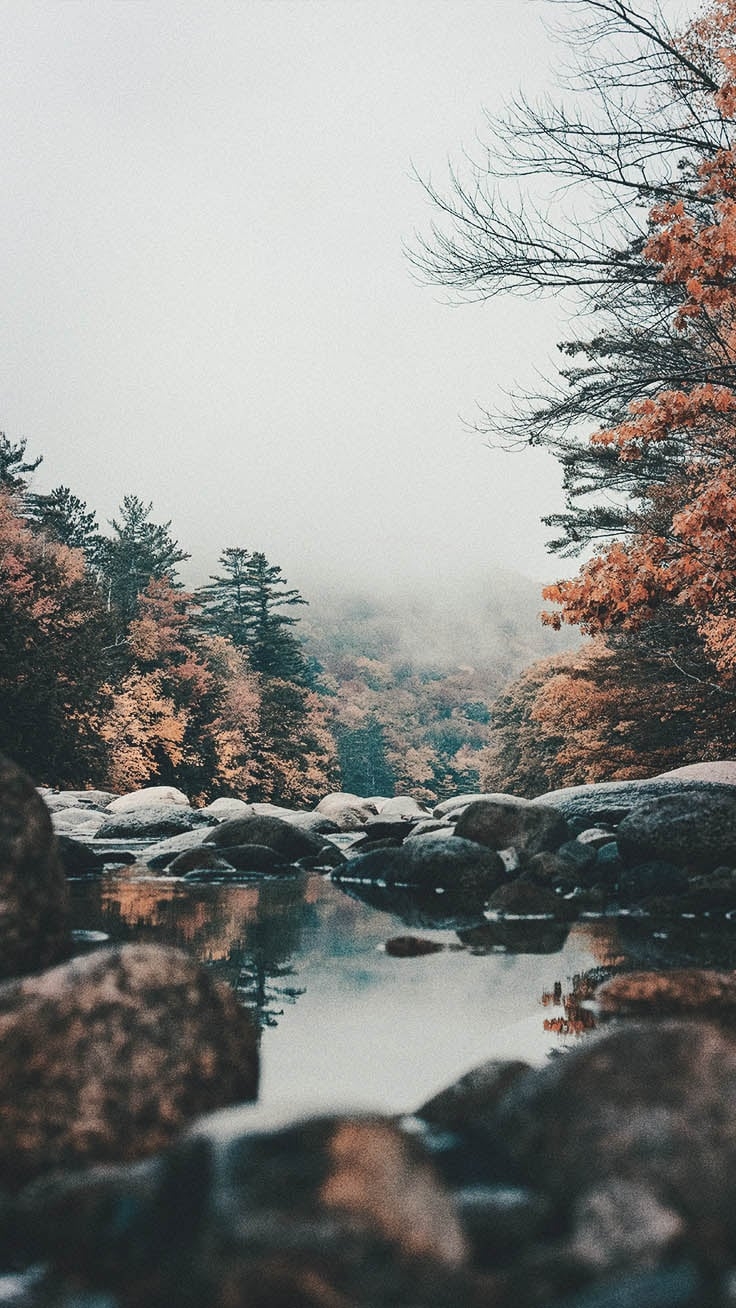 740x1310 Aesthetic Autumn Wallpaper iPhone, Phone