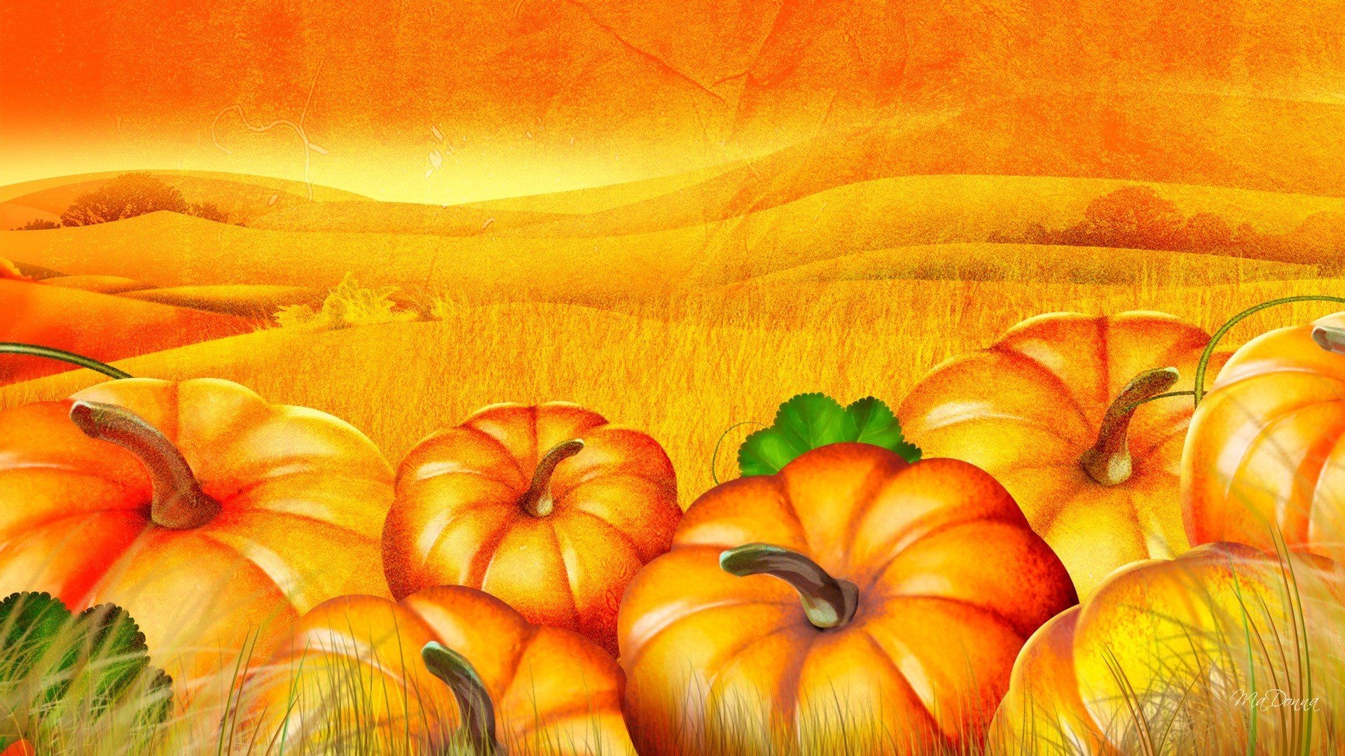 1920x1080 pumpkin, Patch, Halloween, Autumn Wallpaper HD / Desktop and Mobile Background, Desktop