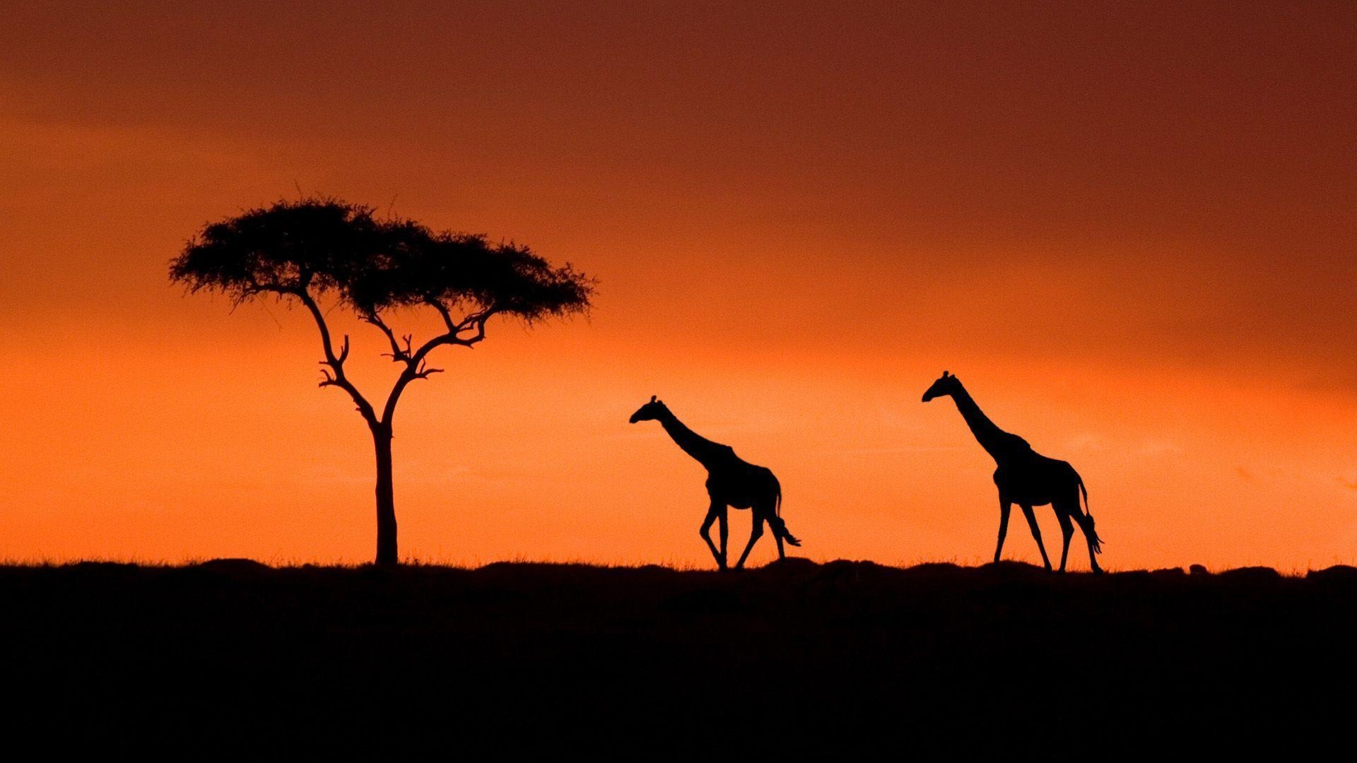 1920x1080 Kenya Wallpaper, Best Kenya Wallpaper in High Quality, Kenya, Desktop