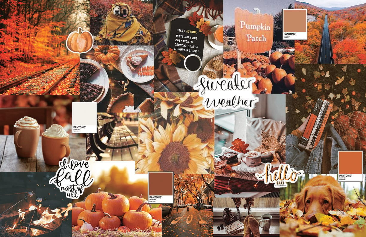 1230x800 Fall Background. Cute fall wallpaper, Fall wallpaper, Desktop wallpaper fall, Desktop