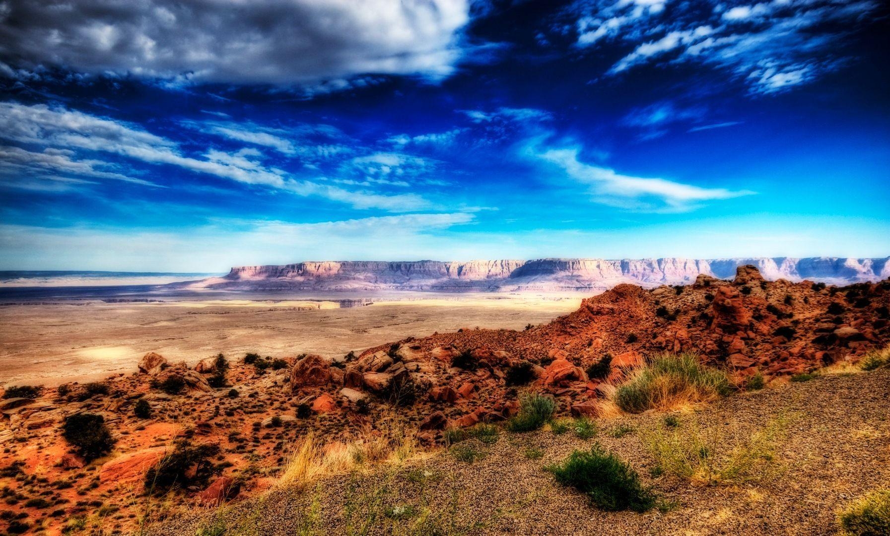 1800x1080 Petrified Forest National Park, Desktop