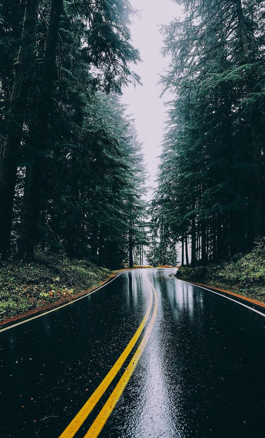 900x1490 Rain Road iPhone Wallpaper Wallpaper, iPhone Wallpaper, Phone
