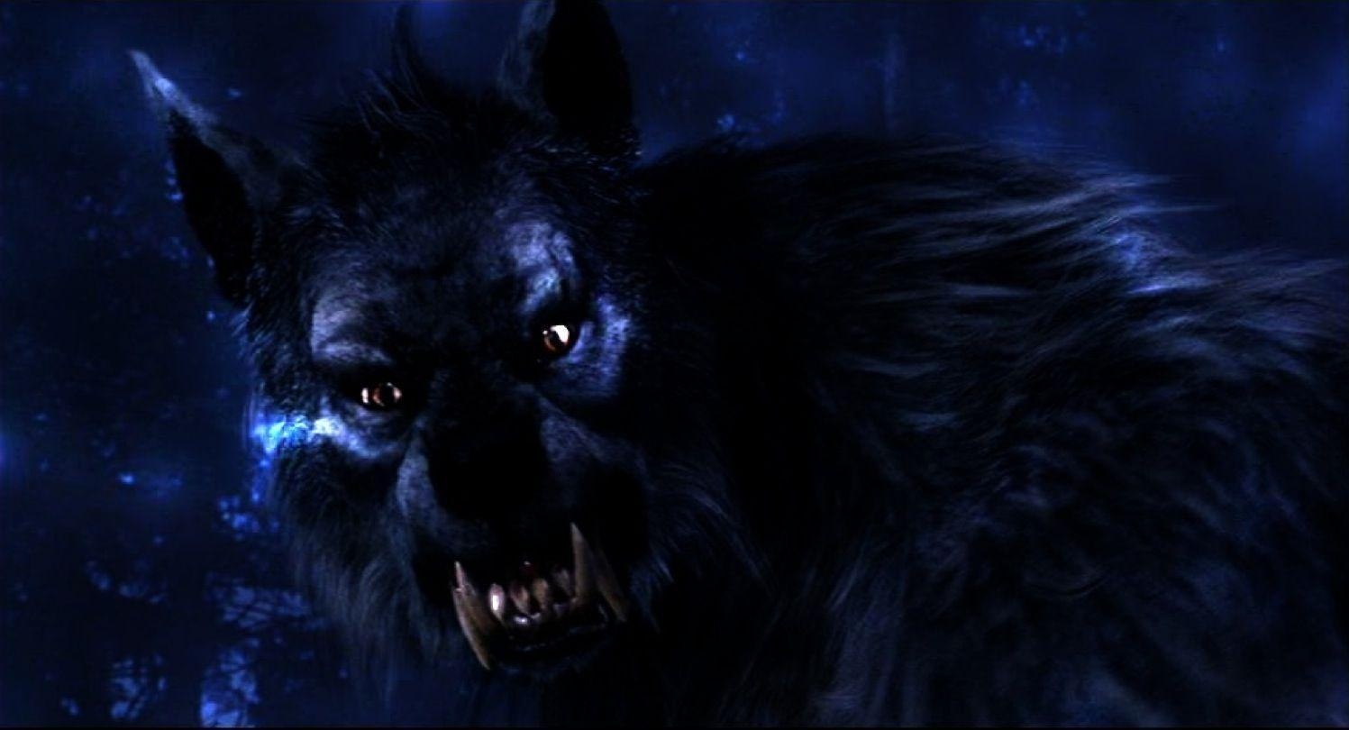 1500x810 Werewolf Computer Wallpaper, Desktop Background  Id: 178651, Desktop