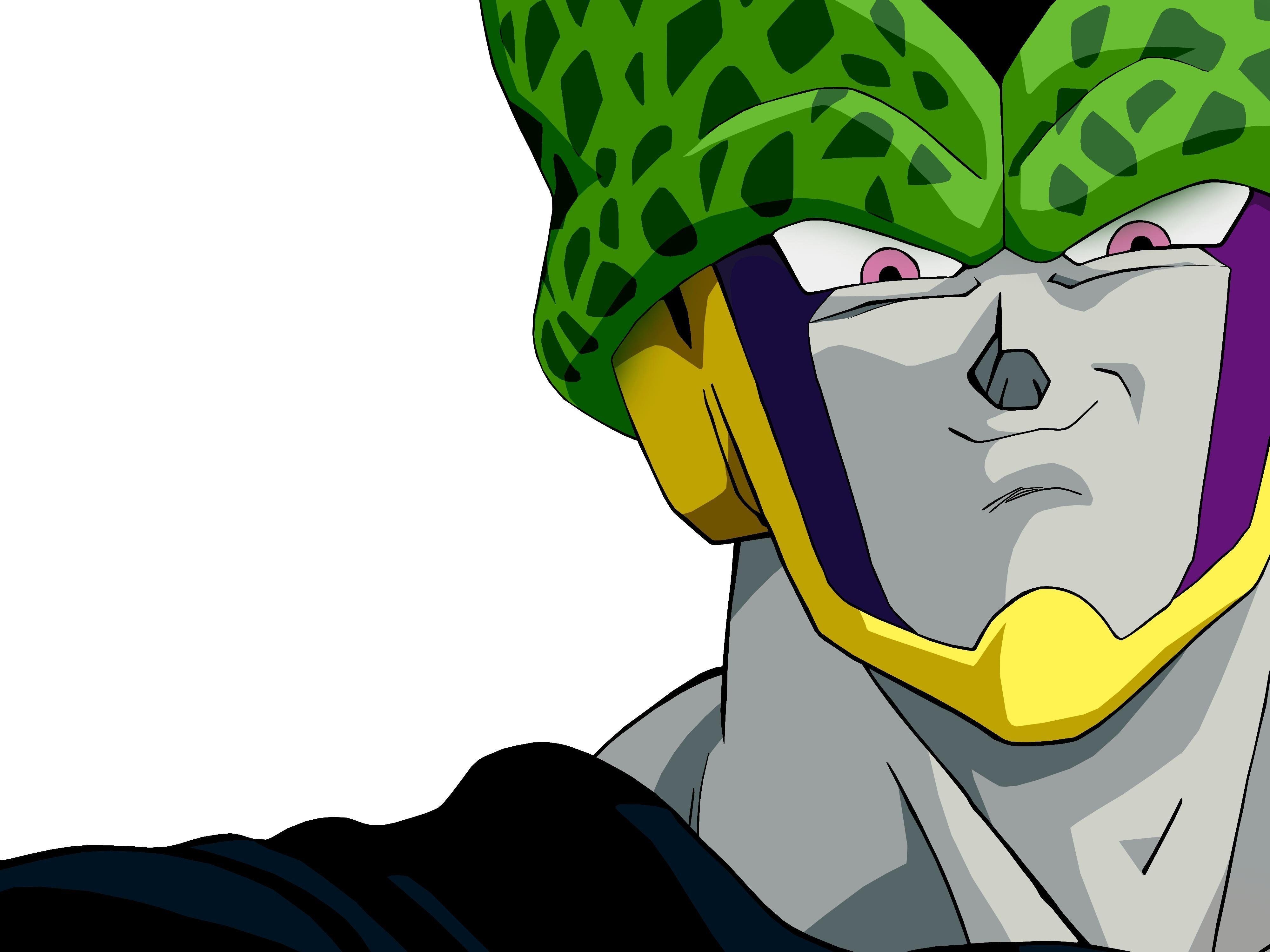 4000x3000 CHAR Perfect Cell (Vs. Style), Desktop