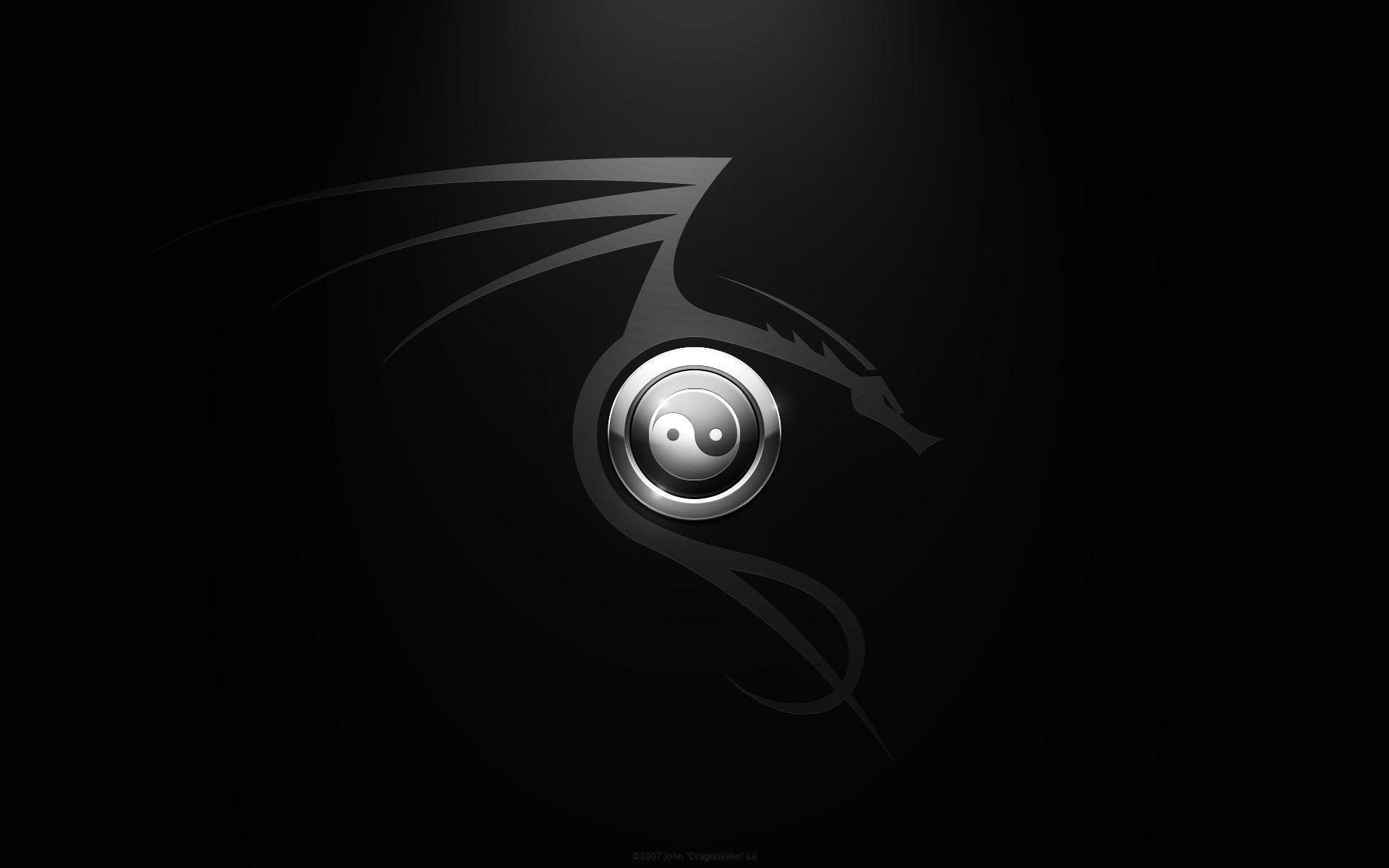 1920x1200 Dragon Yin Yang Wallpaper, Desktop