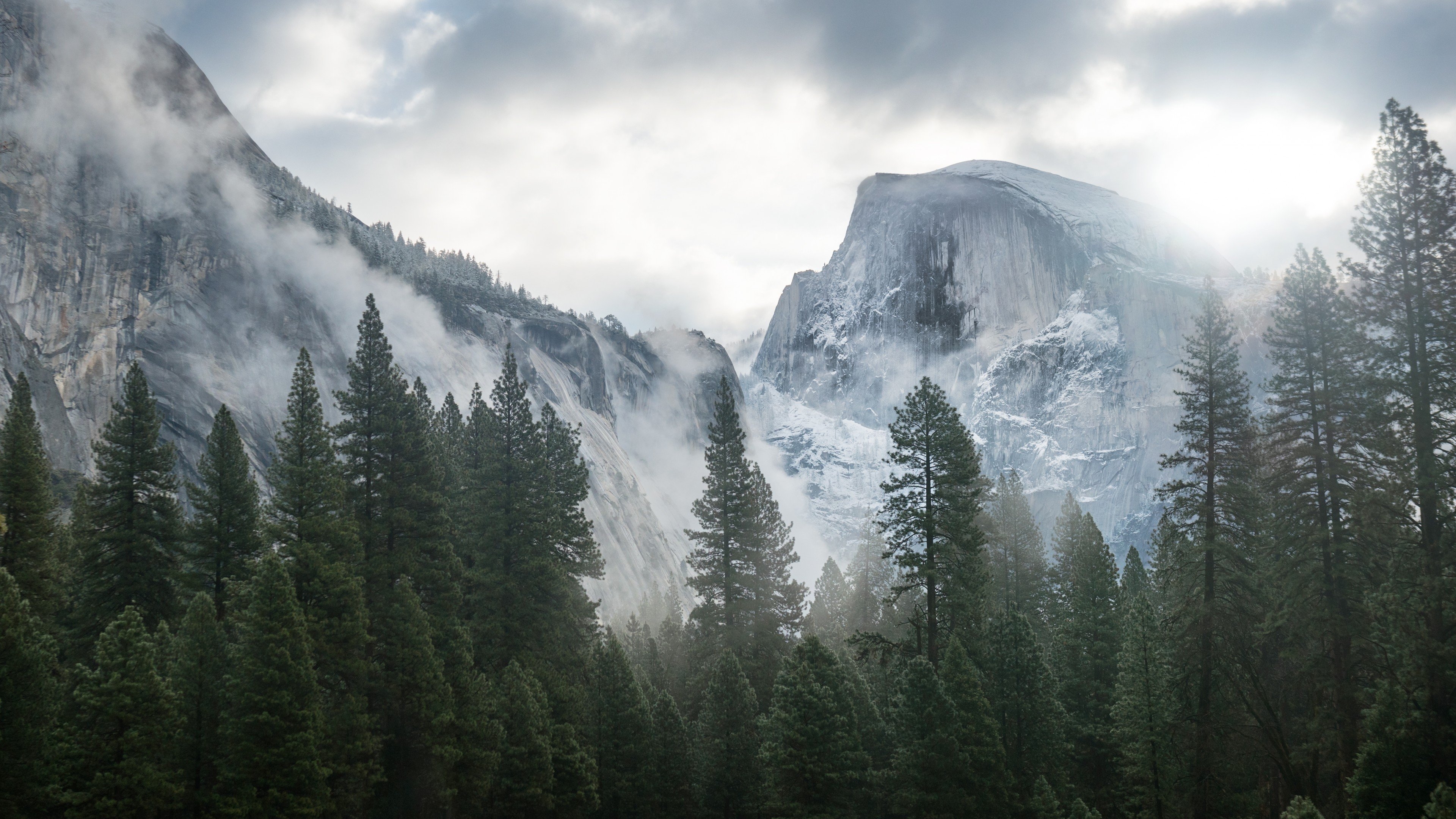 3840x2160 Wallpaper Yosemite, 5k, 4k wallpaper, 8k, forest, OSX, apple, Desktop