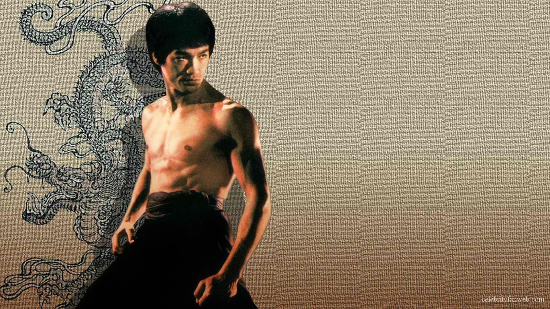 1920x1080 Bruce Lee Lee Wallpaper, Desktop