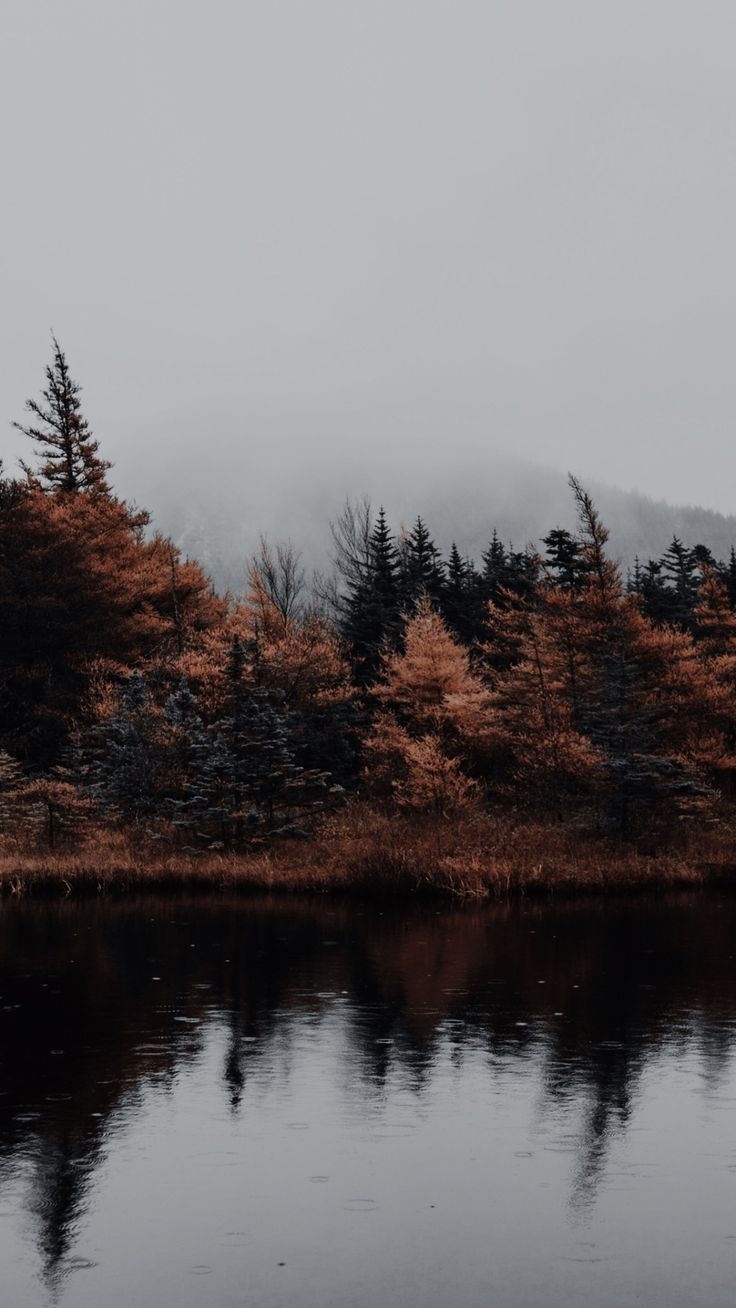 740x1310 Autumn. iPhone wallpaper landscape, Mountain aesthetic wallpaper, Fall landscape photography, Phone