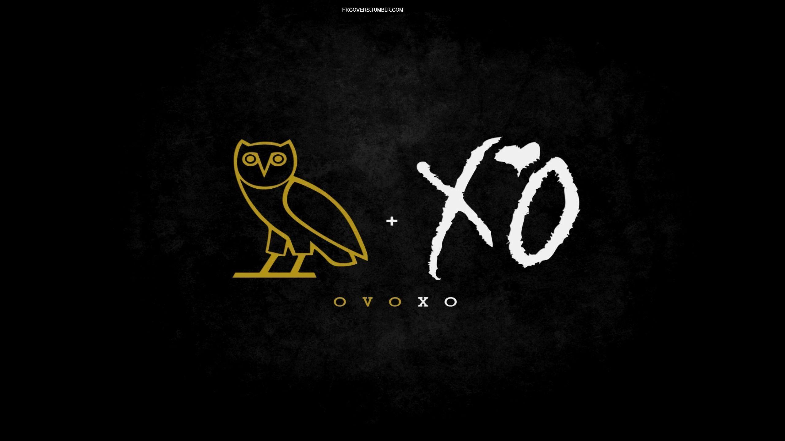 2560x1440 Ovo Owl Wallpaper, Desktop