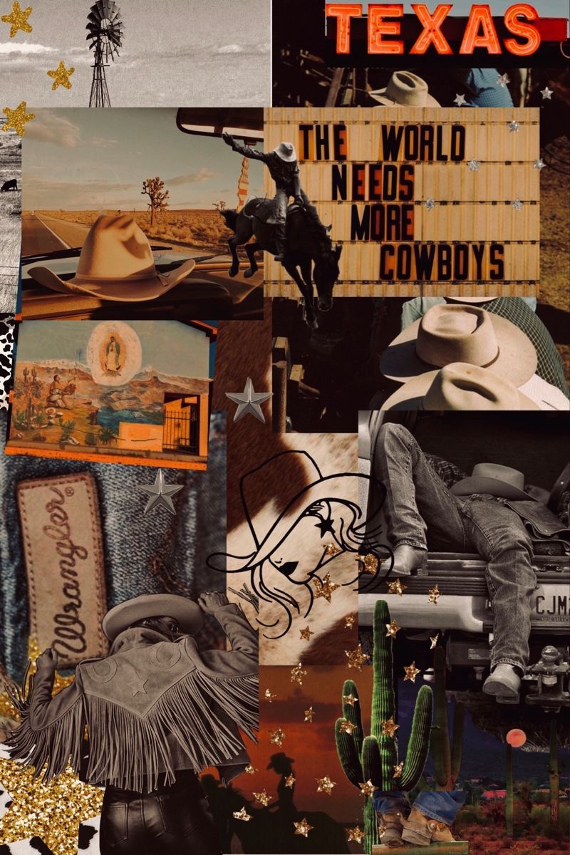 800x1200 Punchy ideas. cowboy art, western art, vintage cowgirl, Phone