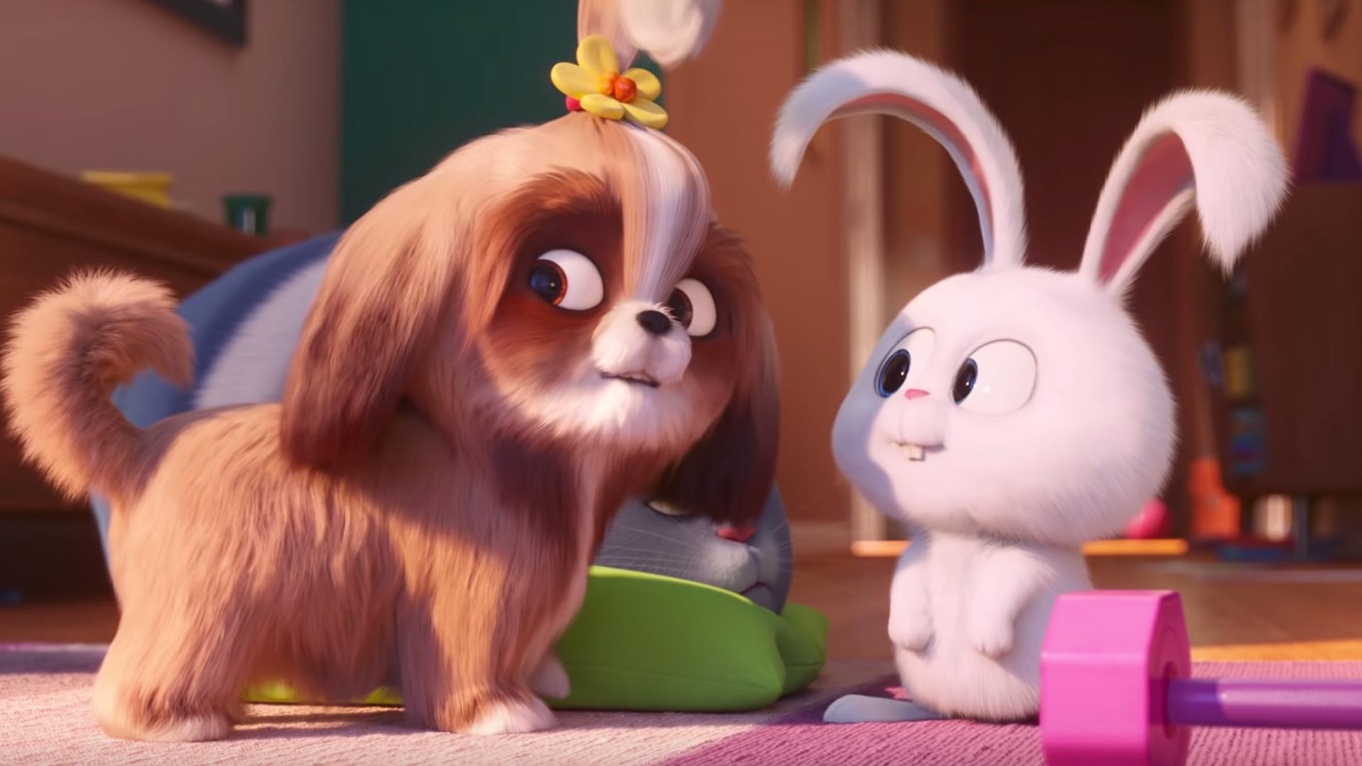 1920x1080 Full for Illumination's THE SECRET LIFE OF PETS 2, Desktop